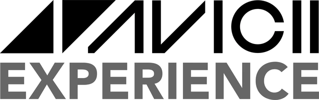 Avicii Experience